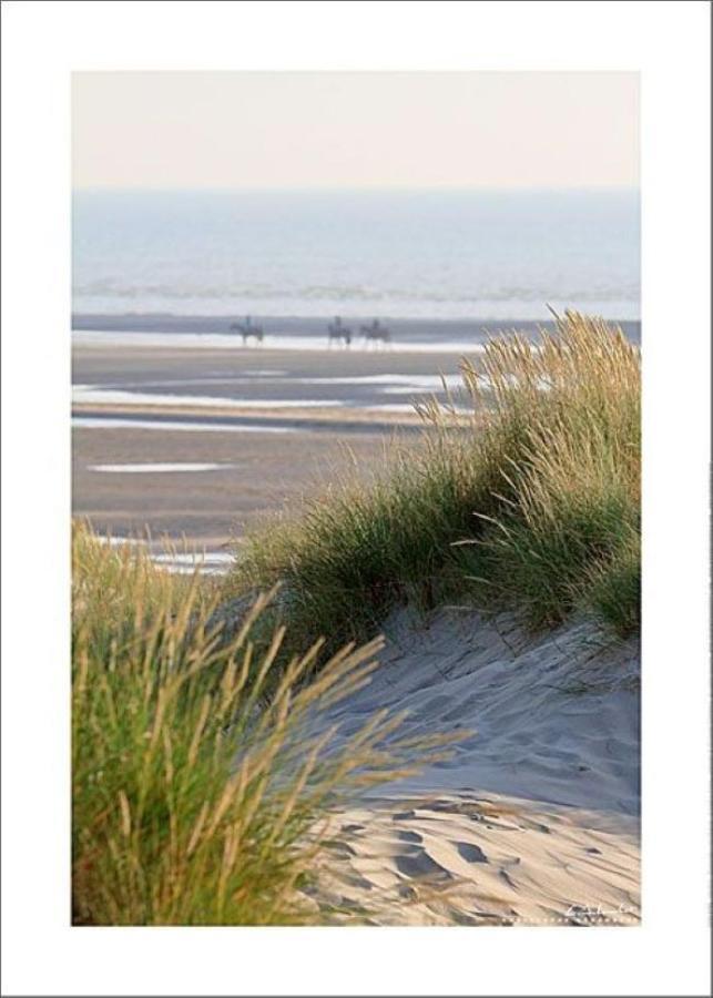 Le Saint Amand, Studio Cabine, Agreable Terrasse Sud Le Touquet エクステリア 写真